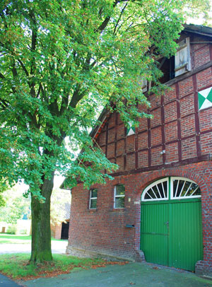 Unter der Spitze des Daches ein geöffnetes Fenster, darunter außen sichtbare Holzbalken, breites grünes Tor.