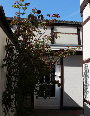 Hinterhof eines Gebäudes mit Blick auf eine Pflanze und ein Gebäude mit sichtbaren Holzbalken.
