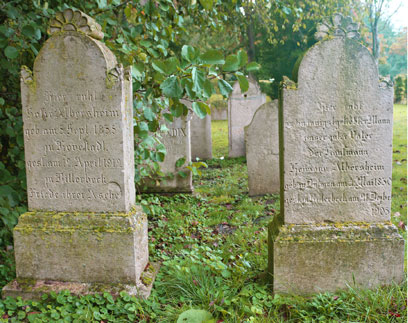 Paarweise Grabsteine in einer länglichen Reihe auf grünem Untergrund, verschiedene Pflanzen an der Seite der Grabsteine.