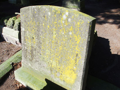 On the left, two fenced gravestones with light but mossy stone and dark panels; in the surroundings are dark columns on light stone.